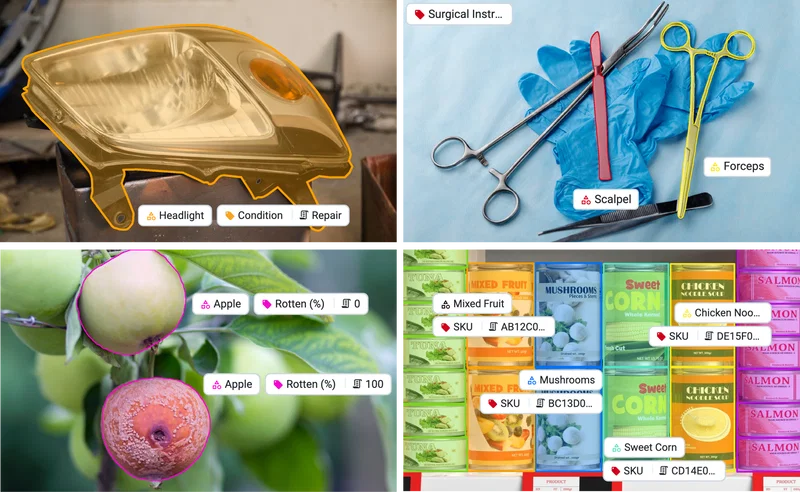 Image classification annotation